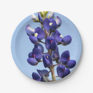 Texas Bluebonnet Paper Plates