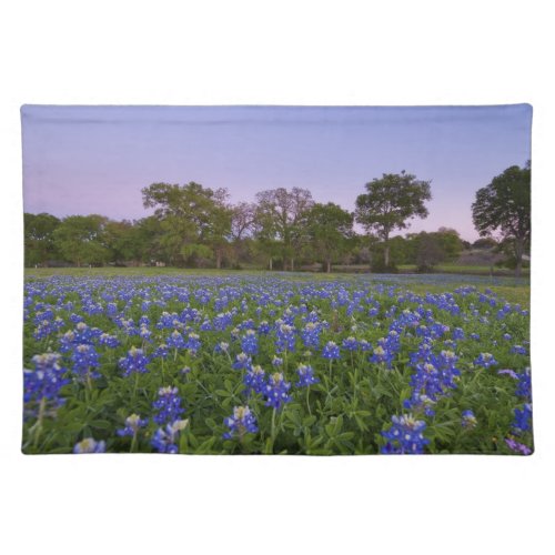 Texas Bluebonnet Placemat