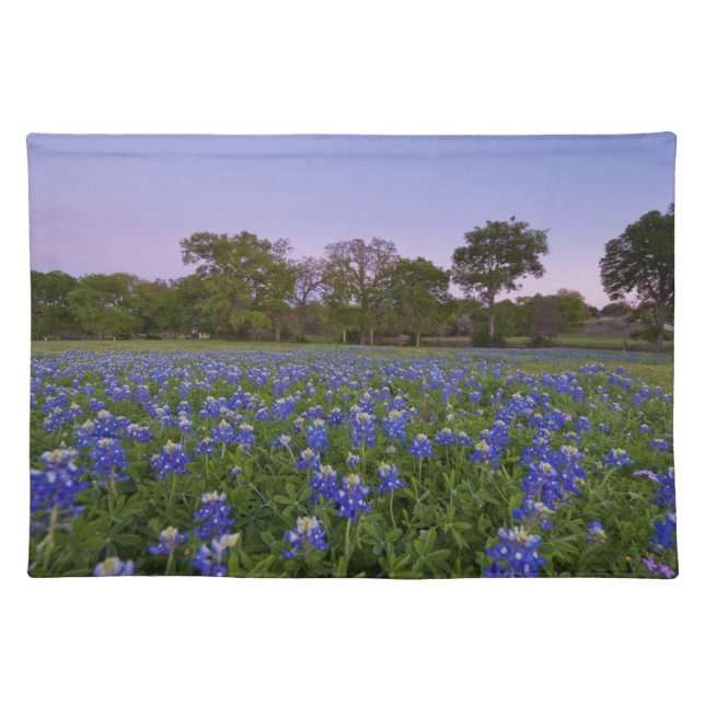 Texas Bluebonnet Placemat (Front)