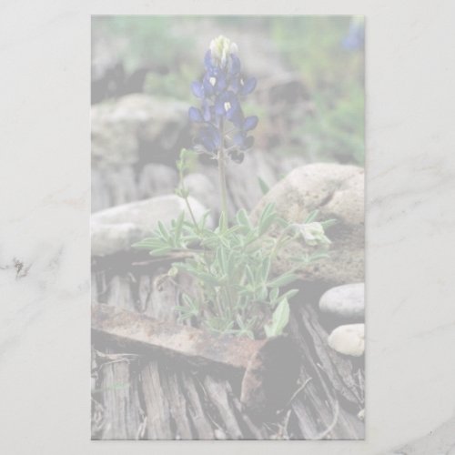 Texas Bluebonnet Stationery