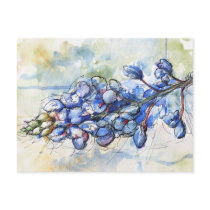 Texas Bluebonnet Watercolor Flower Postcard