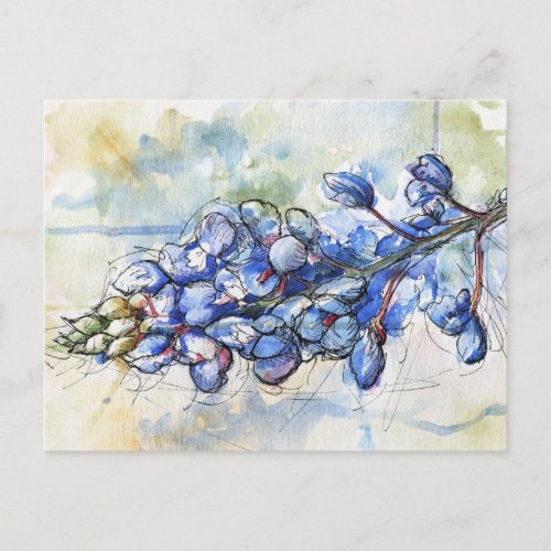 Texas Bluebonnet Watercolor Flower Postcard