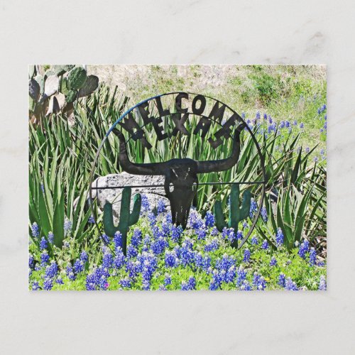 Texas Bluebonnet Welcome Postcard