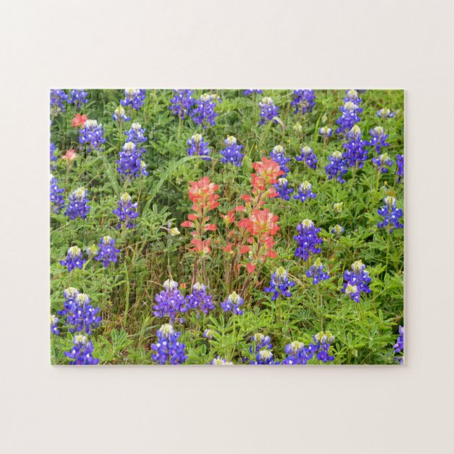 Texas Bluebonnets and Indian Paintbrush Flower Jigsaw Puzzle (Horizontal)