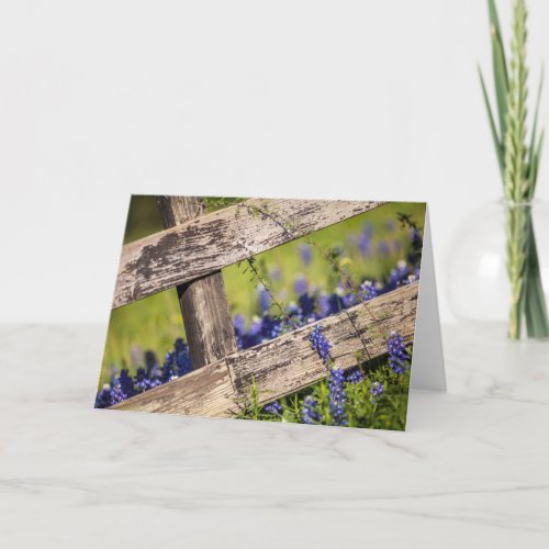 Texas Bluebonnets Around A Country Fence Card