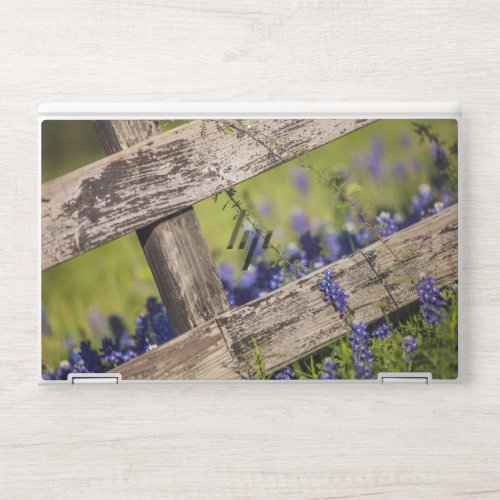 Texas Bluebonnets Around A Country Fence HP Laptop Skin