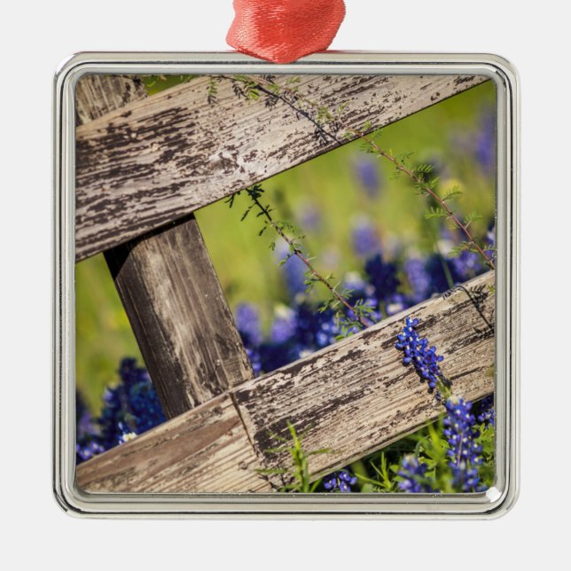 Texas Bluebonnets Around A Country Fence Metal Ornament (Front)