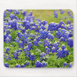 Texas Bluebonnets Art Mouse Pad
