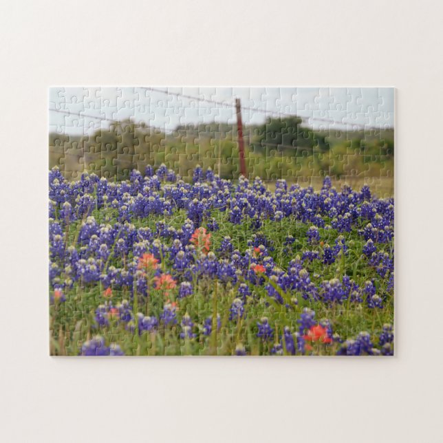 Texas Bluebonnets at Farm Country Fence Puzzle (Horizontal)
