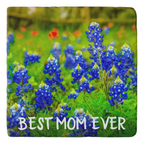Texas Bluebonnets Best Mom Ever Mothers Day Trivet