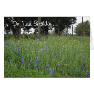 Texas Birthday Greeting Cards | Zazzle