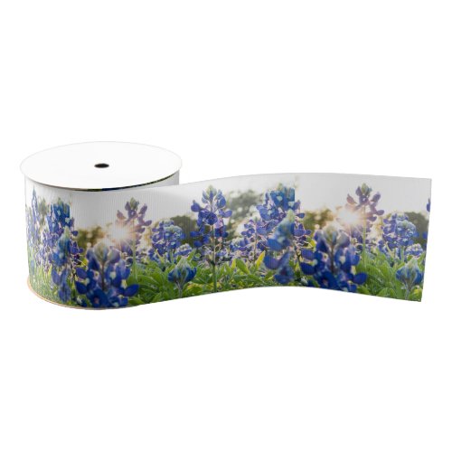 Texas Bluebonnets Blue Flowers Texan Floral Grosgrain Ribbon