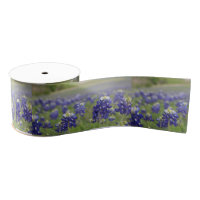 Texas Bluebonnets Blue Flowers Texan Floral
