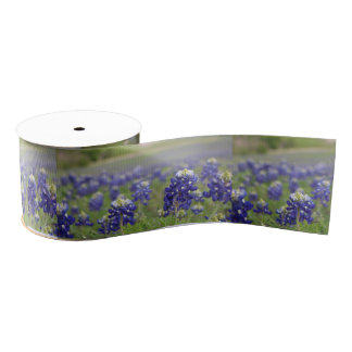 Texas Bluebonnets Blue Flowers Texan Floral Grosgrain Ribbon