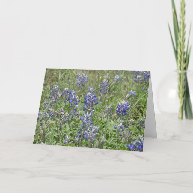 Texas Bluebonnets Card (Front)