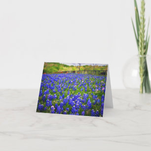 Texas Bluebonnets Card