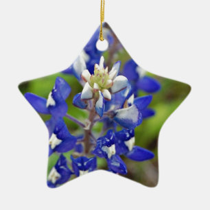 Texas Bluebonnets Ceramic Ornament