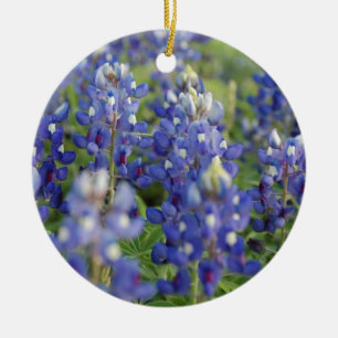 Texas Bluebonnets Ceramic Ornament