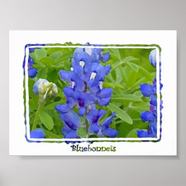 Texas Bluebonnets Digital Watercolor Poster (Front)