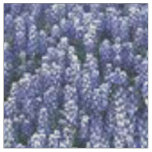 Texas Bluebonnets Fabric