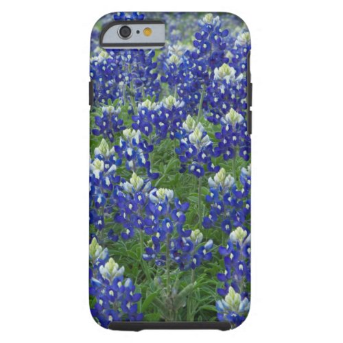 Texas Bluebonnets Field Photo Tough iPhone 6 Case