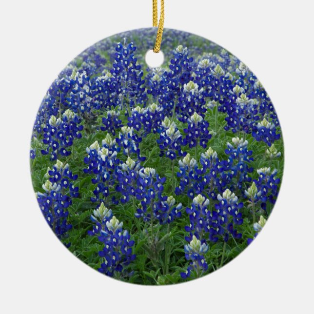 Texas Bluebonnets Field Photo Ceramic Ornament (Front)