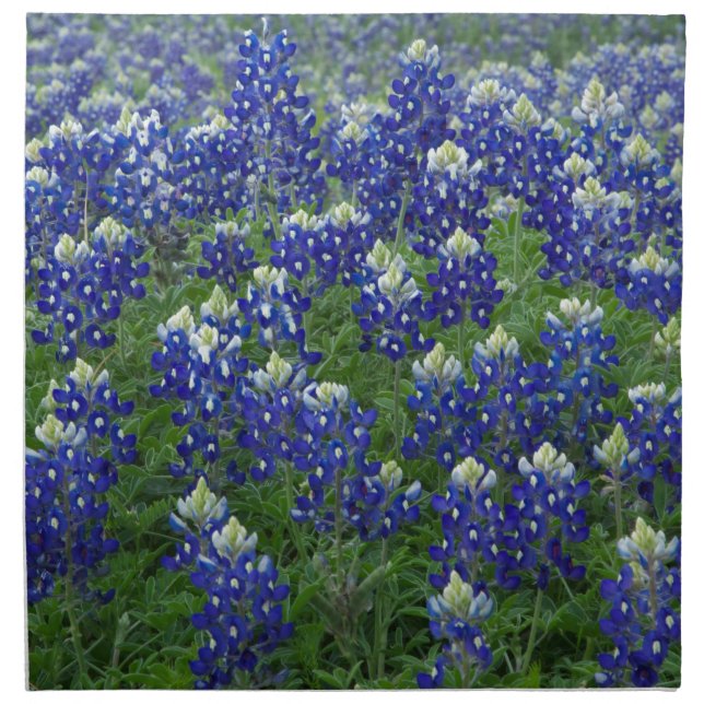 Texas Bluebonnets Field Photo Cloth Napkin (Front)