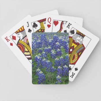 Texas Bluebonnets Field Photo Playing Cards by RossiCards at Zazzle