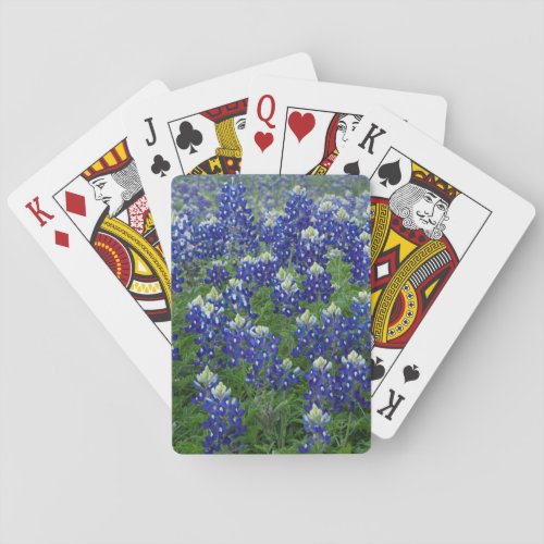 Texas Bluebonnets Field Photo Poker Cards