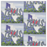 Texas Bluebonnets Flag and Landscape Fabric 4.5"
