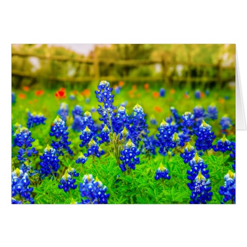 Texas Bluebonnets Floral Note Card