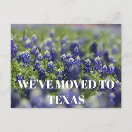 Texas Bluebonnets Flower Wildflower Blue Floral Postcard