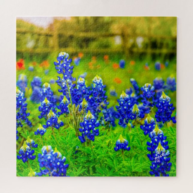 Texas Bluebonnets Indian Floral Nature Travel Jigsaw Puzzle (Horizontal)