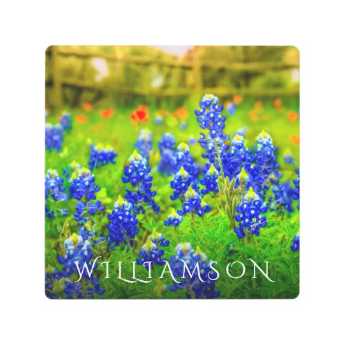 Texas Bluebonnets Indian Paintbrush Family Name Ph Metal Print