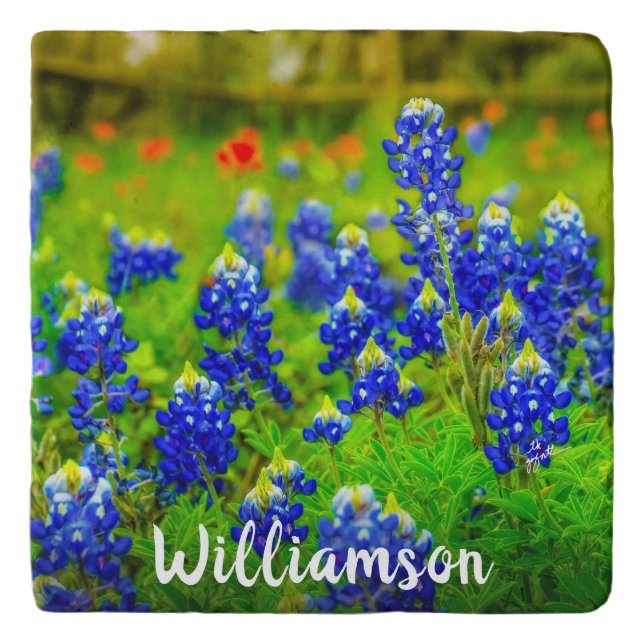 Texas Bluebonnets Indian Paintbrush Family Name Trivet (Front)