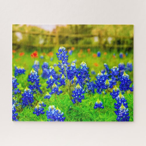 Texas Bluebonnets Indian Paintbrush Floral Jigsaw Puzzle