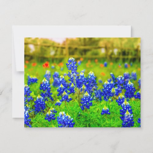 Texas Bluebonnets Indian Paintbrush Floral Note Card