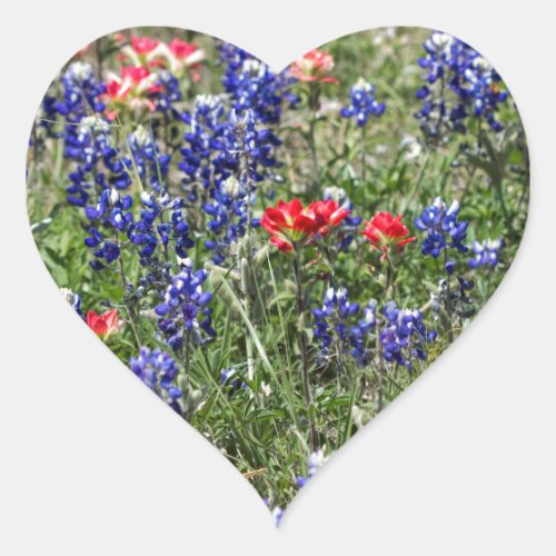 Texas Bluebonnets  Indian Paintbrush Wildflowers Heart Sticker