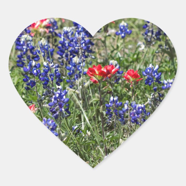 Texas Bluebonnets & Indian Paintbrush Wildflowers Heart Sticker (Front)