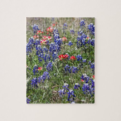 Texas Bluebonnets  Indian Paintbrush Wildflowers Jigsaw Puzzle