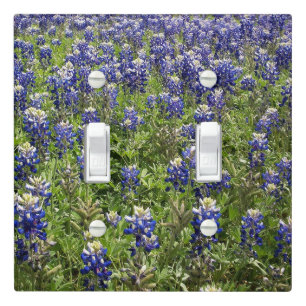 Texas Bluebonnets Light Switch Cover – Southern