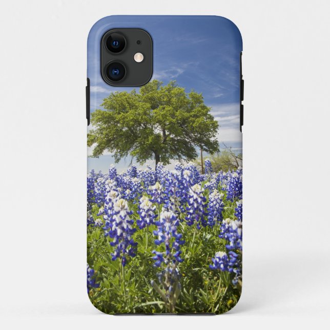 Texas bluebonnets(lupinus texensis) and oak Case-Mate iPhone case (Back)
