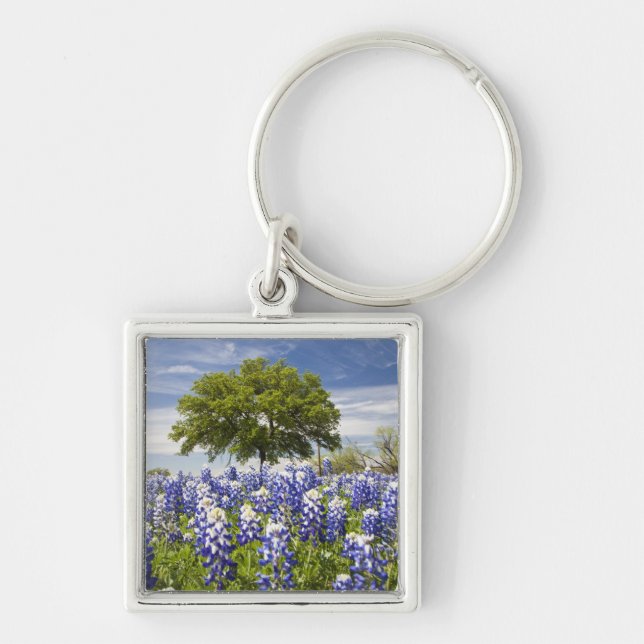Texas bluebonnets(lupinus texensis) and oak keychain (Front)