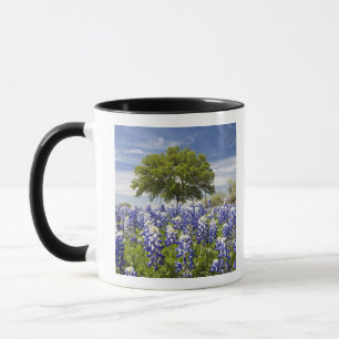 Texas bluebonnets(lupinus texensis) and oak mug