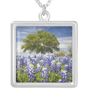Texas bluebonnets(lupinus texensis) and oak silver plated necklace
