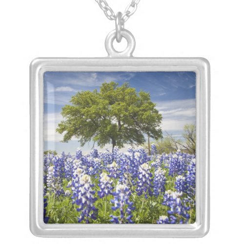 Texas bluebonnetslupinus texensis and oak silver plated necklace