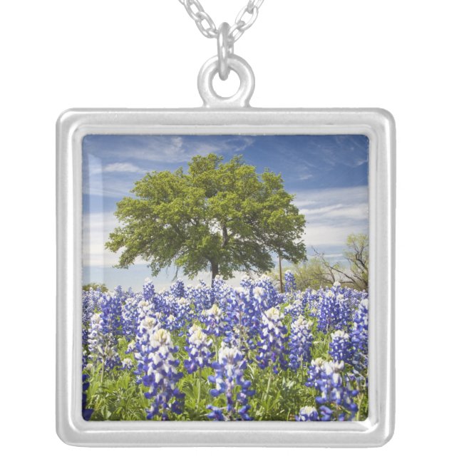 Texas bluebonnets(lupinus texensis) and oak silver plated necklace (Front)