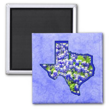 Texas Bluebonnets Magnet by manewind at Zazzle