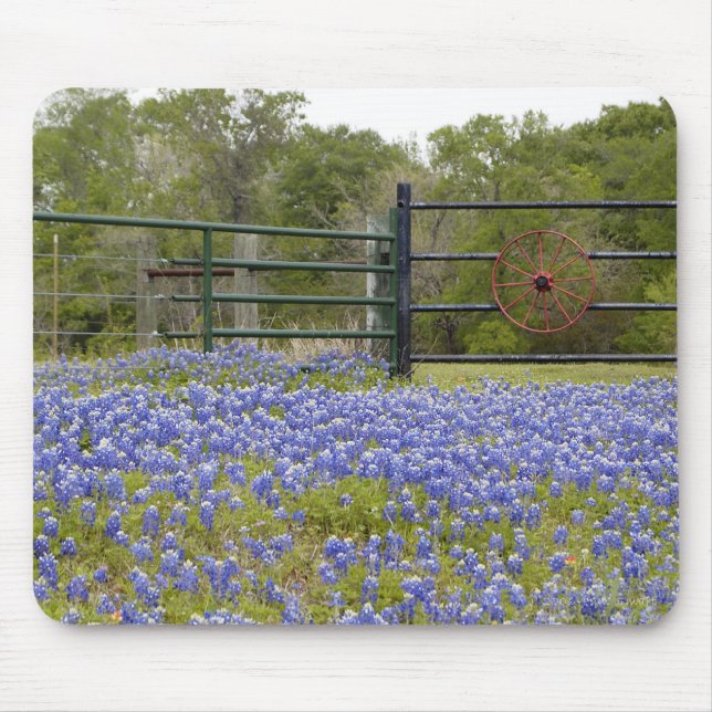 Texas Bluebonnets Mouse Pad (Front)