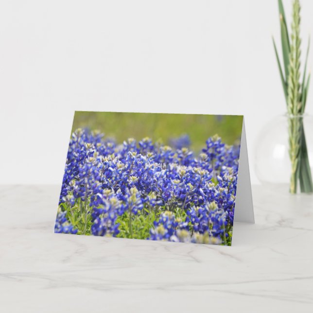 Texas Bluebonnets Note Card (Front)